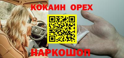 Альфа ПВП Новодвинск