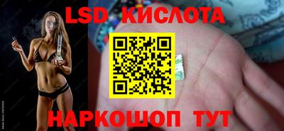 Альфа ПВП Новодвинск