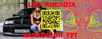 Альфа ПВП Новодвинск
