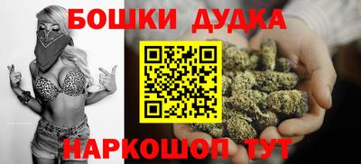 Альфа ПВП Новодвинск